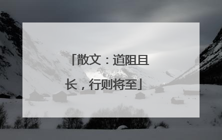 散文:道阻且长,行则将至