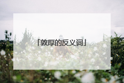 敦厚的反义词