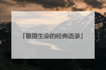 敬畏生命的经典语录