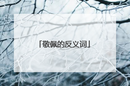 敬佩的反义词