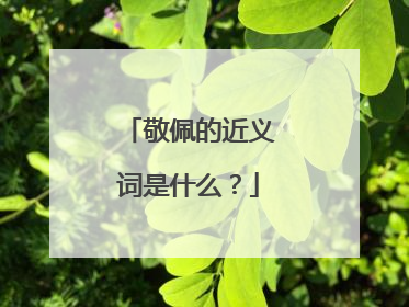 敬佩的近义词是什么?