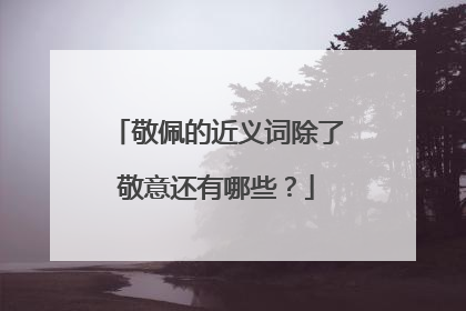 敬佩的近义词除了敬意还有哪些?
