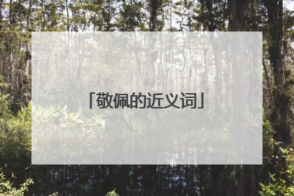 敬佩的近义词