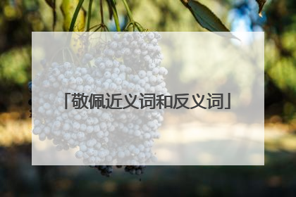 敬佩近义词和反义词