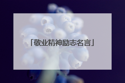 敬业精神励志名言