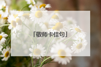 敬师卡佳句