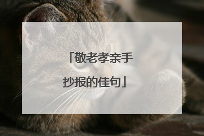 敬老孝亲手抄报的佳句