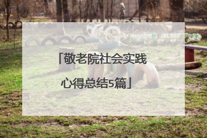 敬老院社会实践心得总结5篇
