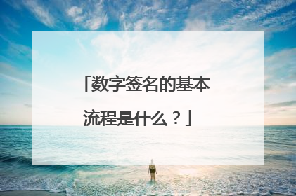 数字签名的基本流程是什么?