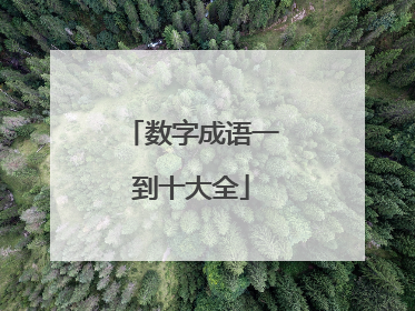 数字成语一到十大全