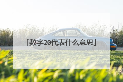 数字20代表什么意思