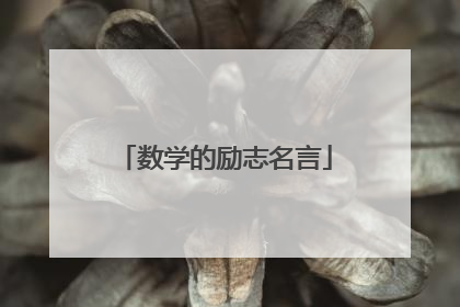 数学的励志名言