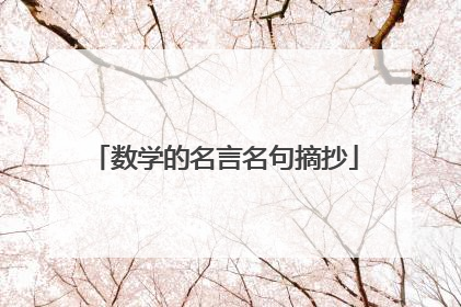 数学的名言名句摘抄