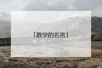 数学的名言