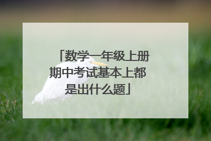 数学一年级上册期中考试基本上都是出什么题