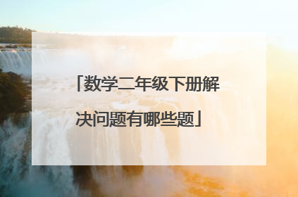 数学二年级下册解决问题有哪些题