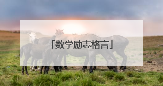 数学励志格言