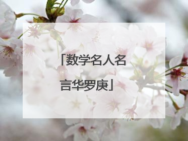 数学名人名言华罗庚