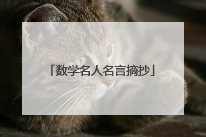 数学名人名言摘抄