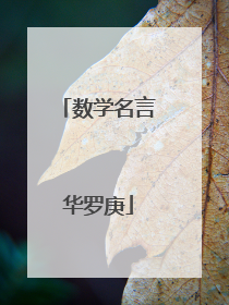 数学名言华罗庚