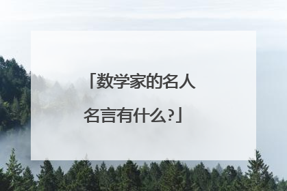 数学家的名人名言有什么?