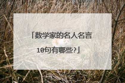 数学家的名人名言10句有哪些?