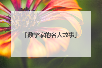 数学家的名人故事