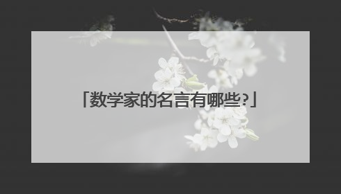 数学家的名言有哪些?