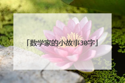 数学家的小故事30字