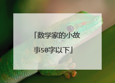 数学家的小故事50字以下