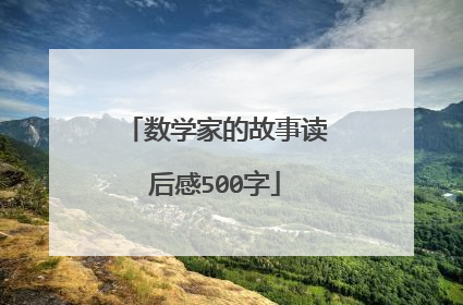 数学家的故事读后感500字