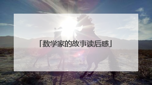 数学家的故事读后感