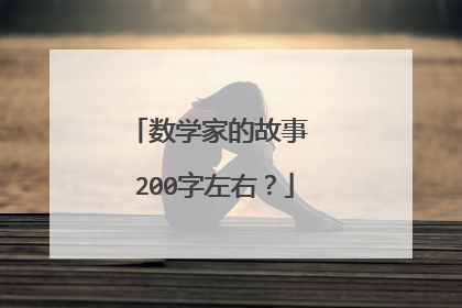 数学家的故事 200字左右？