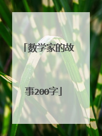 数学家的故事200字