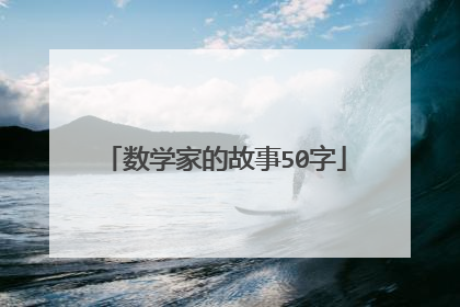 数学家的故事50字
