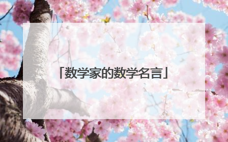 数学家的数学名言