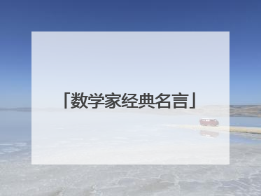 数学家经典名言