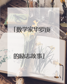 数学家华罗庚的励志故事