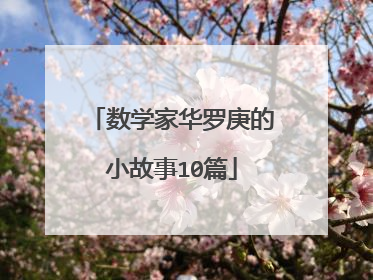 数学家华罗庚的小故事10篇