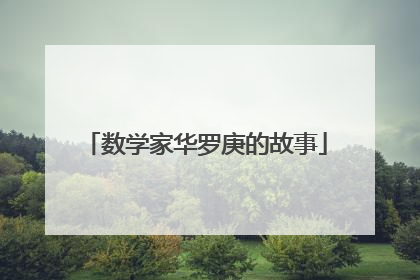 数学家华罗庚的故事