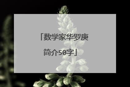 数学家华罗庚简介50字