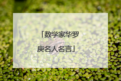 数学家华罗庚名人名言