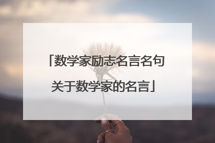 数学家励志名言名句 关于数学家的名言