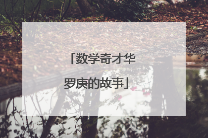 数学奇才华罗庚的故事