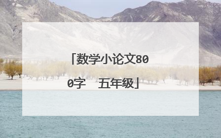 数学小论文800字  五年级