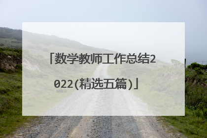 数学教师工作总结2022(精选五篇)