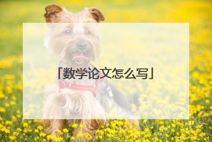 数学论文怎么写