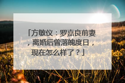 方敏仪：罗嘉良前妻，离婚后曾落魄度日，现在怎么样了？