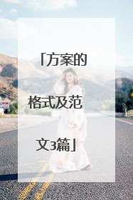 方案的格式及范文3篇