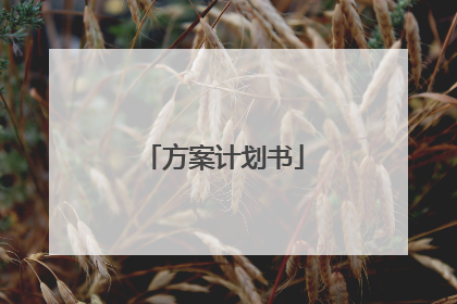 方案计划书